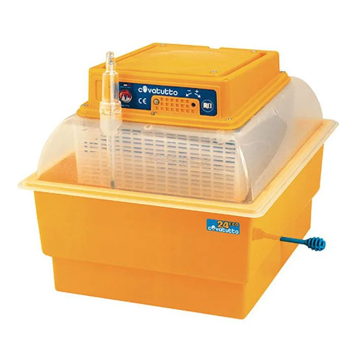 esska-1531650