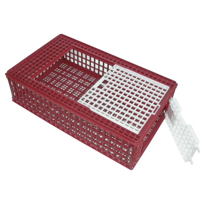 esska-1531754