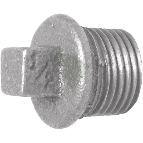 sagro1-1564493