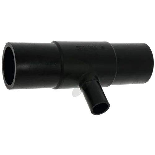 sagro1-1580934