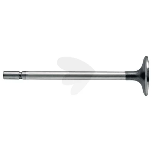 sagro1-1624525