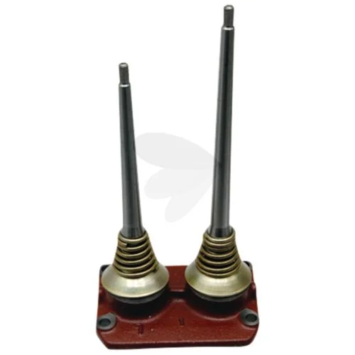 sagro1-1627529