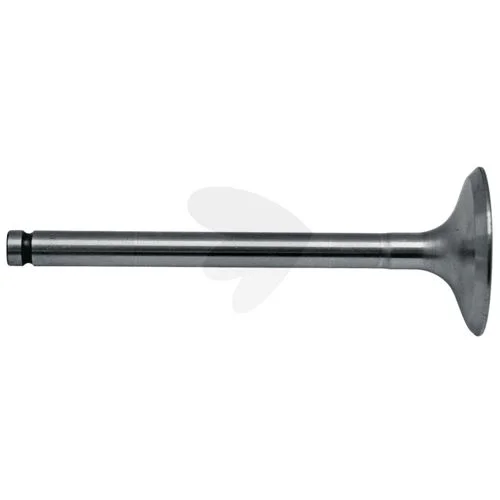 sagro1-1646307